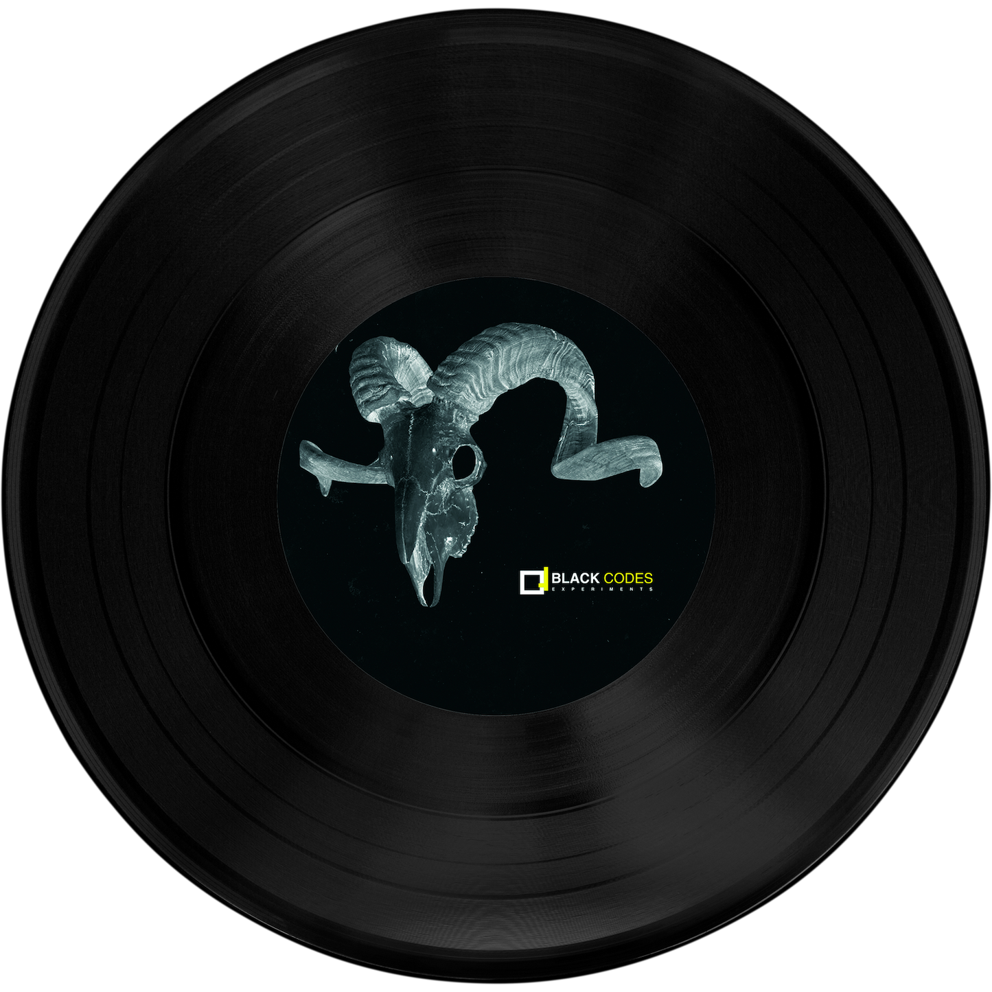 Black Codes Experiments - BCE012 REPRESS!